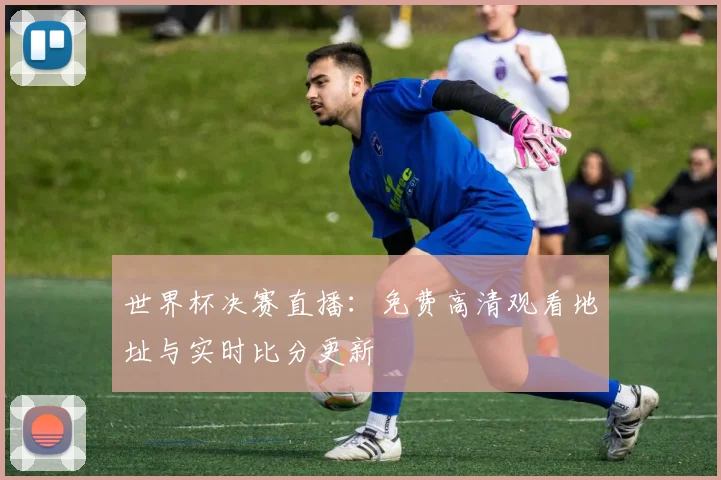 世界杯决赛直播：免费高清观看地址与实时比分更新