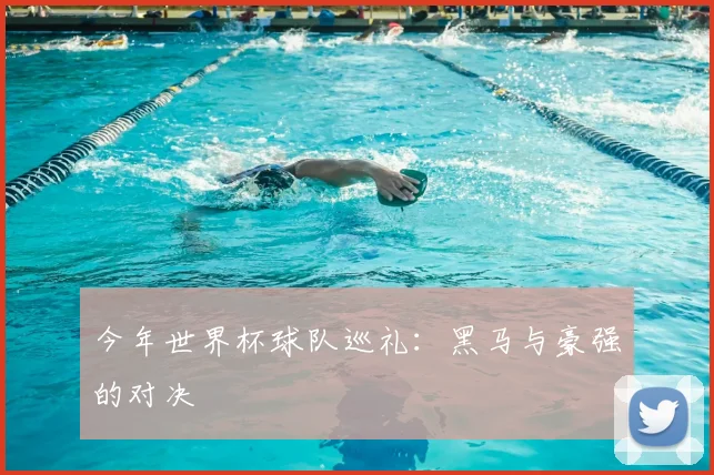 今年世界杯球队巡礼:黑马与豪强的对决