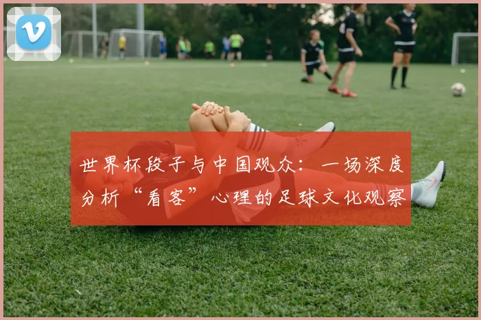世界杯段子与中国观众：一场深度分析“看客”心理的足球文化观察