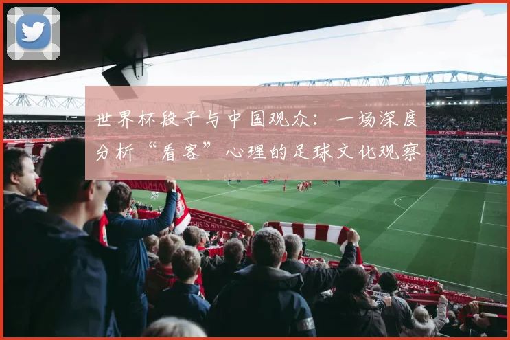 世界杯段子与中国观众：一场深度分析“看客”心理的足球文化观察