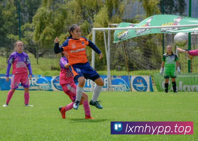 多媒体互动体验